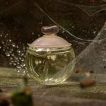 عطر ادکلن نوا فلور کاشرل - Noa Fleur Cacharel - بررسی، قیمت و خرید