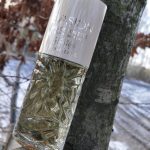 عطر ادکلن ایویژن بورژوا - Evasion Bourjois - بررسی، قیمت و خرید