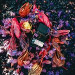 عطر ادکلن وودو مین نیویورک - Voodoo MiN New York - بررسی، قیمت و خرید