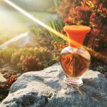 عطر ادکلن پوپه روچاس - Poupee Rochas - بررسی، قیمت و خرید