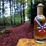 عطر ادکلن موسکینو موشینو - Moschino Moschino - بررسی، قیمت و خرید