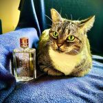 عطر ادکلن آرلی‌زن لوکسیتان - Arlesienne L'Occitane en Provence - بررسی، قیمت و خرید