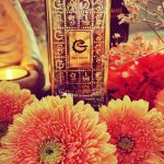 عطر ادکلن ما میوز سالوادور دالی - Ma Muse Salvador Dali - بررسی، قیمت و خرید