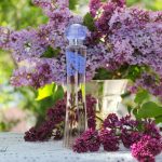 عطر ادکلن رمانتیکا بروکارد - Romantica Brocard - بررسی، قیمت و خرید