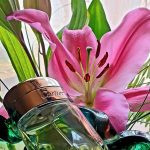 عطر ادکلن بایزر وله او دو تویلت کارتیر - Baiser Vole Eau de Toilette Cartier - بررسی، قیمت و خرید