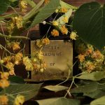 عطر ادکلن پریتی ماشین کروسین - Pretty Machine Kerosene - بررسی، قیمت و خرید