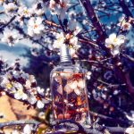 عطر ادکلن فلور دو سریزیه لوکسیتان - Fleurs De Cerisier L'Occitane en Provence - بررسی، قیمت و خرید