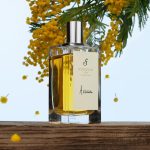 عطر ادکلن اکاسیا فگویا ۱۸۳۳ - Acacia Fueguia 1833 - بررسی، قیمت و خرید