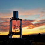 عطر ادکلن رز د گراس ژان آرتیس - Rose de Grasse Jeanne Arthes - بررسی، قیمت و خرید
