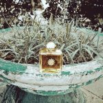 عطر ادکلن بی‌لاود وومن آمواژ - Beloved Woman Amouage - بررسی، قیمت و خرید