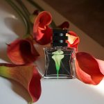 عطر ادکلن نمبر بیست و دو اس جی هفتاد و نه اس تی اچ ال ام - Nº 22 SG79 STHLM - بررسی، قیمت و خرید