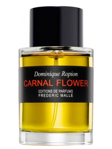 عطر ادکلن کارنال فلاور فردریک مال - Carnal Flower Frederic Malle - بررسی، قیمت و خرید