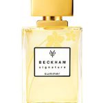 عطر ادکلن سیگنیچر سامر فور هر دیوید بکهام - Signature Summer for Her David Beckham - بررسی، قیمت و خرید