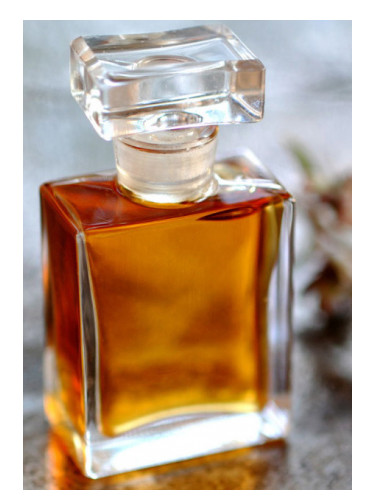 عطر ادکلن تو بی راکسانا ایلومینیتد پرفیوم - To Bee Roxana Illuminated Perfume - بررسی، قیمت و خرید
