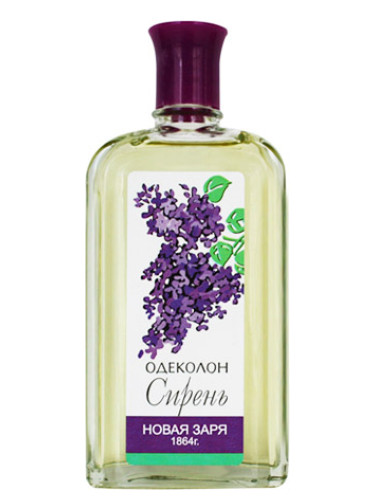 عطر ادکلن سیریَن نوایا زاریا - Сирень (Lilac) Новая Заря (The New Dawn) - بررسی، قیمت و خرید
