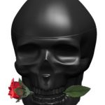 عطر ادکلن اد هاردی اسکولز اند رزز فور هیم کریستین اودیجر - Ed Hardy Skulls & Roses for Him Christian Audigier - بررسی، قیمت و خرید