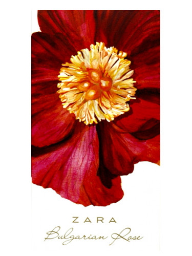 عطر ادکلن بلغارین رز زارا - Bulgarian Rose Zara - بررسی، قیمت و خرید