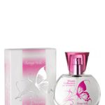 عطر ادکلن دریم کالکشن بوتگا ورد - Dream Collection Bottega Verde - بررسی، قیمت و خرید