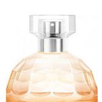 عطر ادکلن ایندین نایت جزمین \The بادی شاپ - Indian Night Jasmine The Body Shop - بررسی، قیمت و خرید