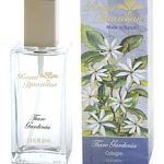 عطر ادکلن تیاره گاردنیا رویال هاواییان - Tiare Gardenia Royal Hawaiian - بررسی، قیمت و خرید
