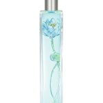 عطر ادکلن لوتوس مارتیما می‌فر - Lotus Maritima Mayfair - بررسی، قیمت و خرید