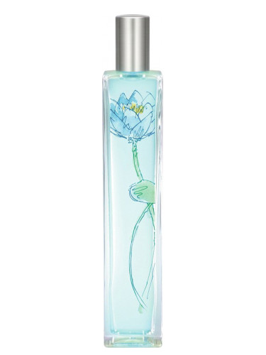 عطر ادکلن لوتوس مارتیما می‌فر - Lotus Maritima Mayfair - بررسی، قیمت و خرید