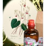 عطر ادکلن سیکلامن فراگریفرت پرفیومر - Cyclamen Fragrifert Parfumeur - بررسی، قیمت و خرید