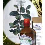 عطر ادکلن گاردنیا فراگریفرت پارفومر - Gardenia Fragrifert Parfumeur - بررسی، قیمت و خرید