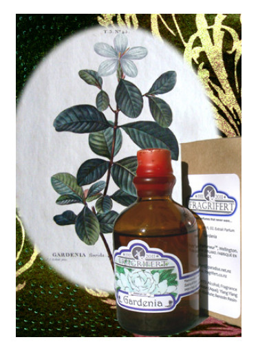 عطر ادکلن گاردنیا فراگریفرت پارفومر - Gardenia Fragrifert Parfumeur - بررسی، قیمت و خرید