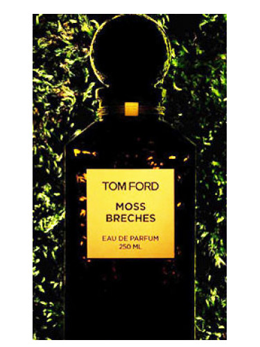 عطر ادکلن موس بریچز تام فورد - Moss Breches Tom Ford - بررسی، قیمت و خرید