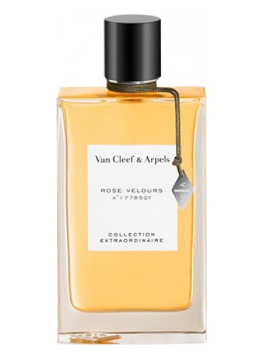 عطر ادکلن رز ولور ون کلیف اند آرپلز - Rose Velours Van Cleef & Arpels - بررسی، قیمت و خرید