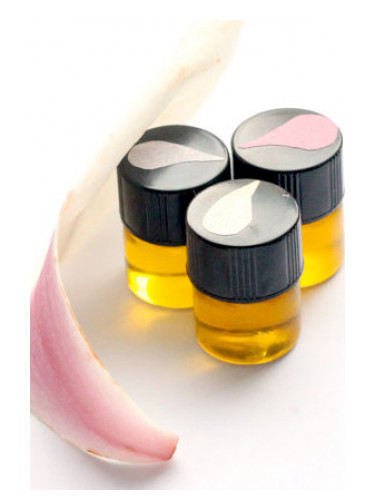 عطر ادکلن مگنولیا گرو پرفیوم تریو فینیکس بوتانیکالز - Magnolia Grove Perfume Trio Phoenix Botanicals - بررسی، قیمت و خرید