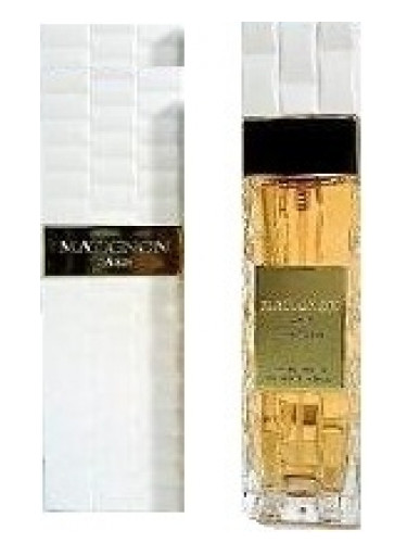 عطر ادکلن داروین جرجیو مونتی - Darvin Giorgio Monti - بررسی، قیمت و خرید
