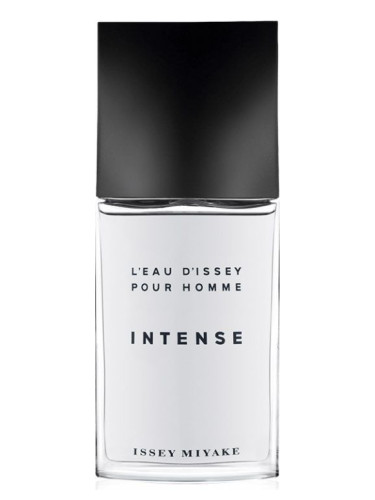 عطر ادکلن لئو دی ایسی پور هوم اینتنس ایسی میاکه - L'Eau d'Issey Pour Homme Intense Issey Miyake - بررسی، قیمت و خرید