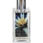 عطر ادکلن لوتوس فلاور اند جینجر لیلی مارکس اند اسپنسر - Lotus Flower and Ginger Lily Marks & Spencer - بررسی، قیمت و خرید