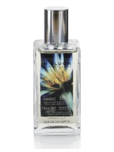 عطر ادکلن لوتوس فلاور اند جینجر لیلی مارکس اند اسپنسر - Lotus Flower and Ginger Lily Marks & Spencer - بررسی، قیمت و خرید