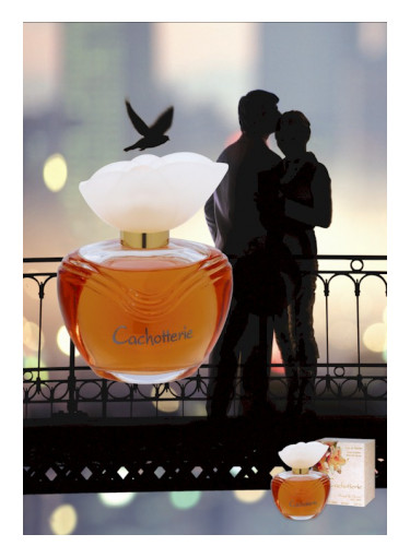 عطر ادکلن کاشوتری دینا کازمتیکس - Cachotterie Dina Cosmetics - بررسی، قیمت و خرید