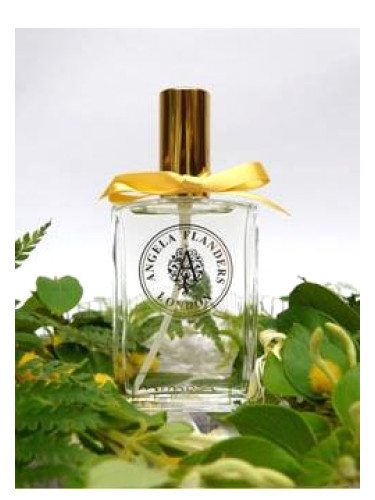 عطر ادکلن میموسا آنجلا فلاندرز - Mimosa Angela Flanders - بررسی، قیمت و خرید