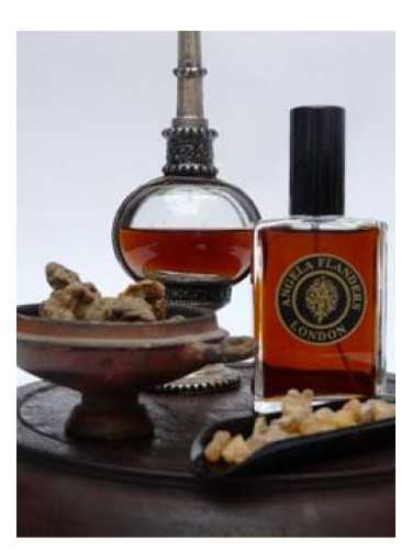 عطر ادکلن امبر نوآر آنجلا فلندرز - Amber Noir Angela Flanders - بررسی، قیمت و خرید