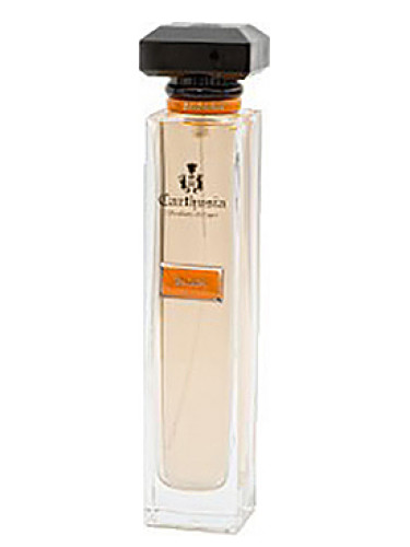 عطر ادکلن آکوا دی کارتوزیا زاگارا کارتوزیا - Acqua di Carthusia Zagara Carthusia - بررسی، قیمت و خرید