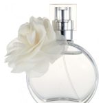 عطر ادکلن وایت مگ و لوگان - White Mag & Logan - بررسی، قیمت و خرید