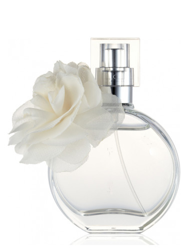 عطر ادکلن وایت مگ و لوگان - White Mag & Logan - بررسی، قیمت و خرید