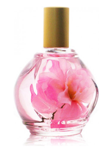 عطر ادکلن پرفیوم دآمبیانس رز گی بوشرا - Parfum d'Ambiance Rose Guy Bouchara - بررسی، قیمت و خرید