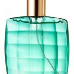 عطر ادکلن امرالد دریم استه لودر - Emerald Dream Estée Lauder - بررسی، قیمت و خرید