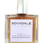 عطر ادکلن آمون ره د تیرز آف را سویوال - Amun Re The Tears of Ra Soivohle - بررسی، قیمت و خرید