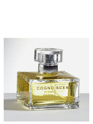 عطر ادکلن نو سِوِنتین سیوِت شیپر کوگنوسنتی - No 17 Civet Chypre Cognoscenti - بررسی، قیمت و خرید
