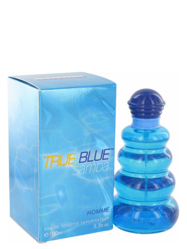 عطر ادکلن سامبا ترو بلو من پرفیومرز ورکشاپ - Samba True Blue Man Perfumer's Workshop - بررسی، قیمت و خرید