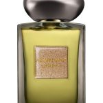 عطر ادکلن سیبل فومه جورجیو آرمانی - Sable Fume Giorgio Armani - بررسی، قیمت و خرید