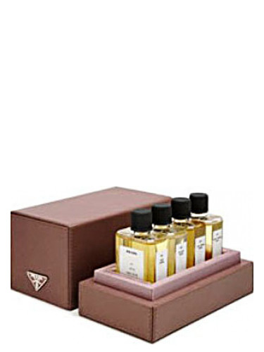 عطر ادکلن نو سیکس تیوبرز پِرادا - No6 Tubereuse Prada - بررسی، قیمت و خرید