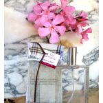 عطر ادکلن مانو ا مانو لو بل اوژوردویی - Mano a Mano Le Bel Aujourd'hui - بررسی، قیمت و خرید